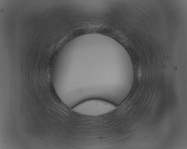 X0000074291204200608250919