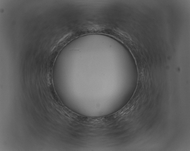 X0000074291205200608250919