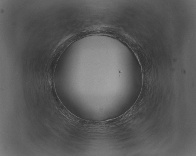 X0000074291206200608250919