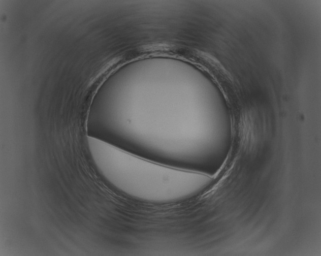 X0000074291209200608250919