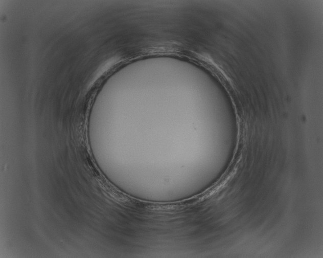X0000074291211200608250919
