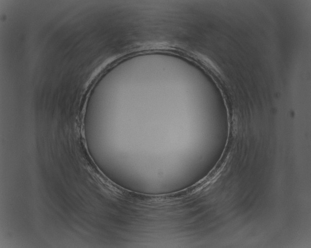 X0000074291212200608250919