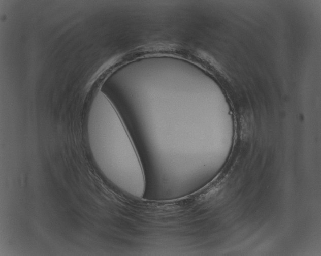 X0000074291213200608250919