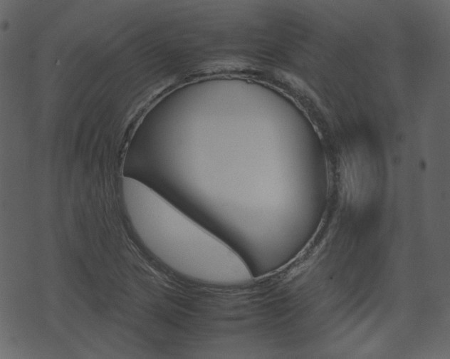 X0000074291217200608250919