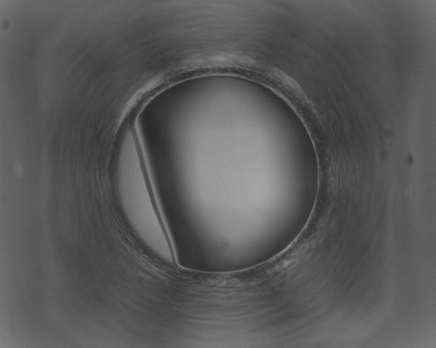 X0000074291218200608250919