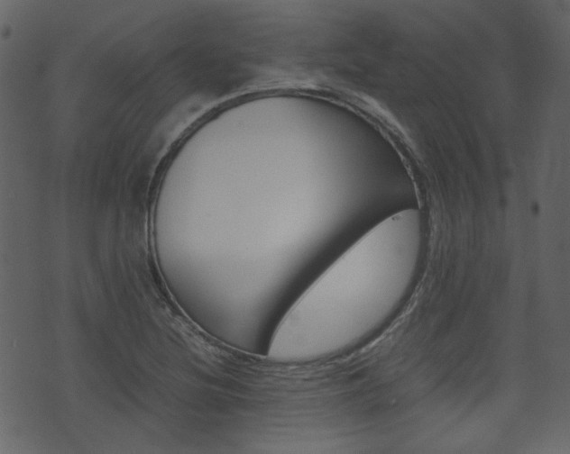 X0000074291220200608250919
