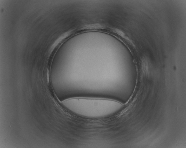 X0000074291221200608250919