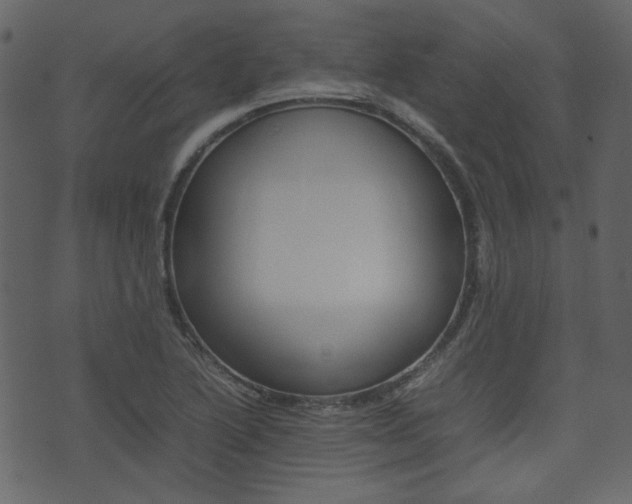 X0000074291222200608250919