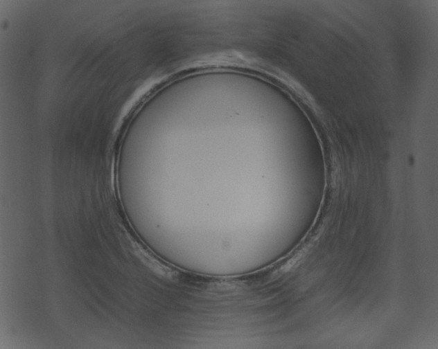 X0000074291224200608250919