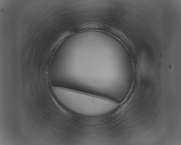 X0000074291225200608250919