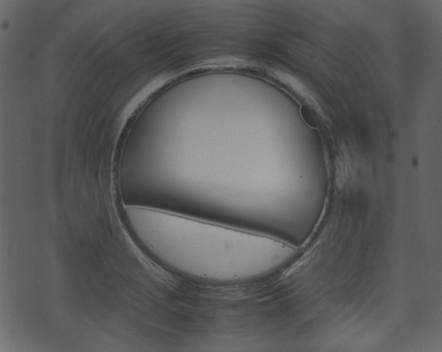 X0000074291229200608250919