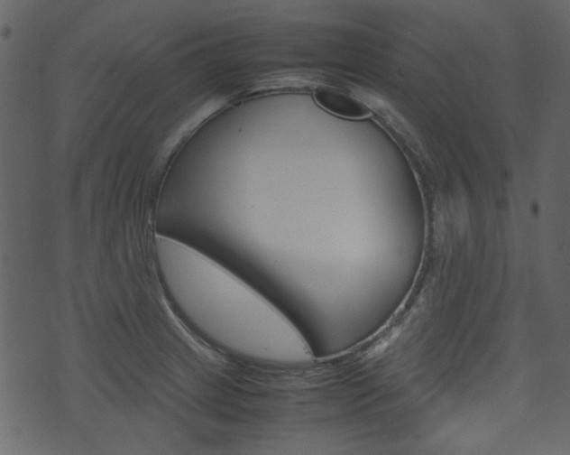 X0000074291233200608250919