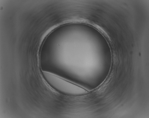 X0000074291238200608250919