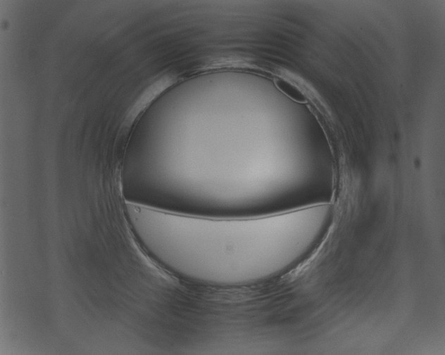 X0000074291241200608250919