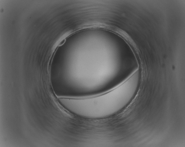 X0000074291242200608250919