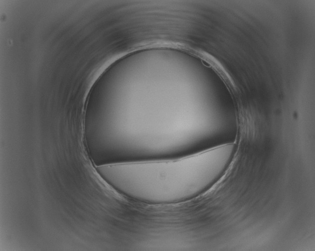 X0000074291244200608250919
