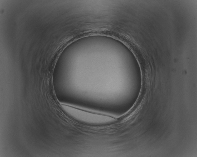 X0000074291257200608250918