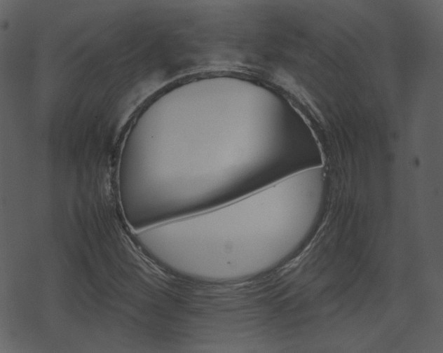 X0000074291260200608250918