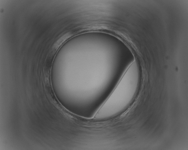 X0000074291273200608250918