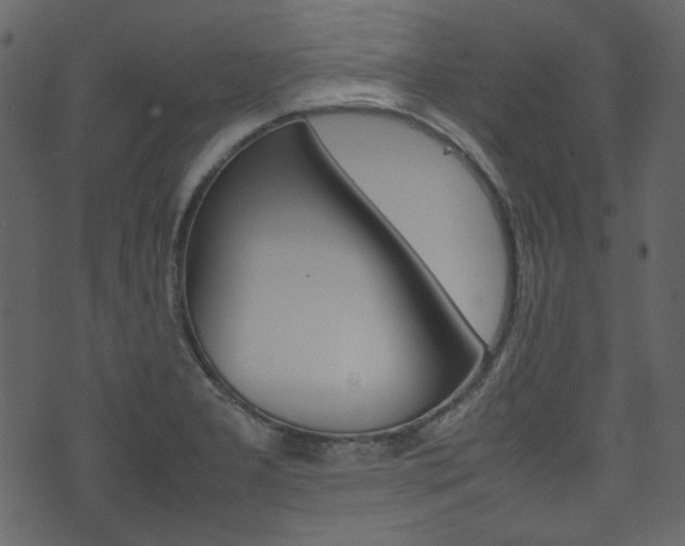 X0000074291277200608250918