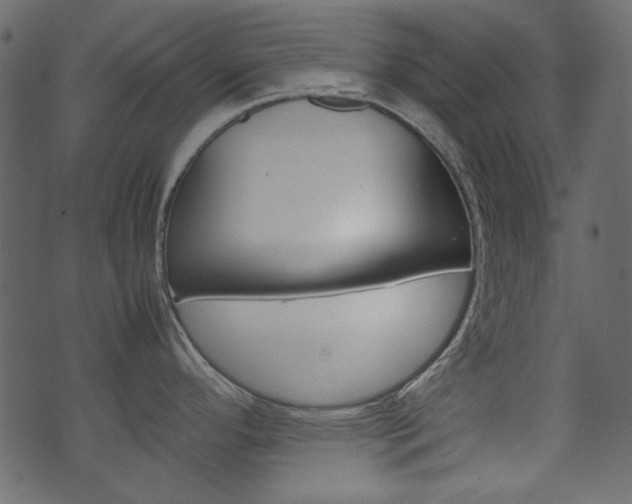 X0000074291296200608250918
