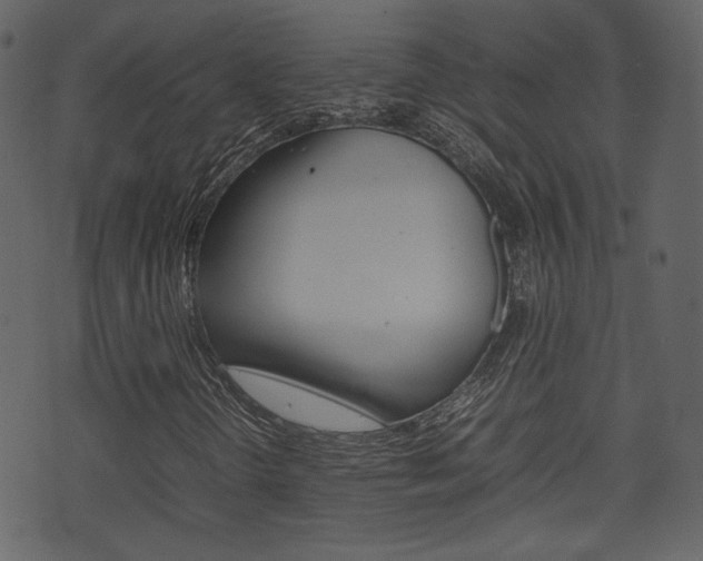 X0000074291298200608250917