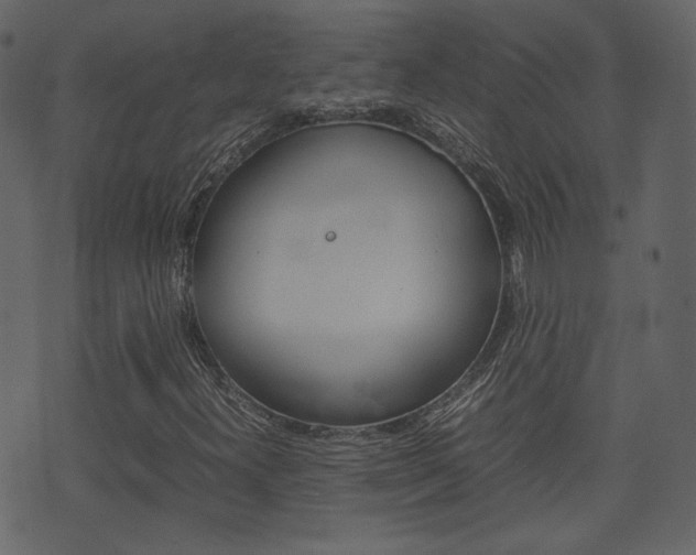 X0000074291300200608250917