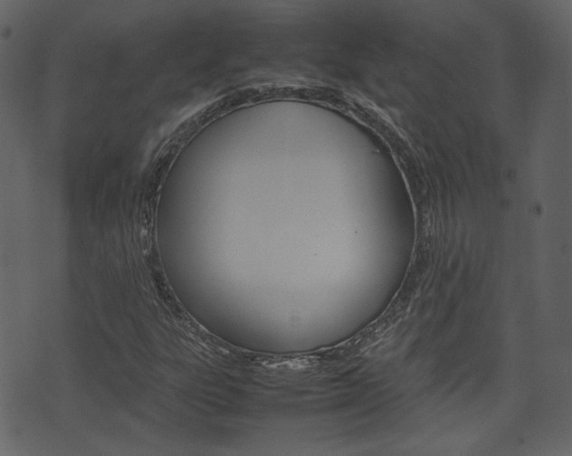 X0000074291303200608250917