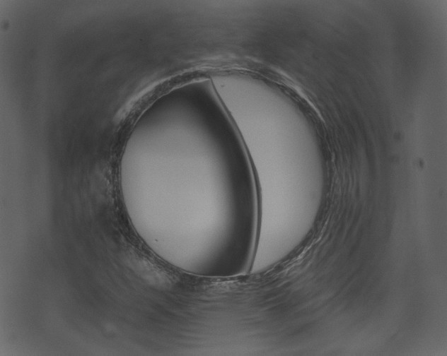 X0000074291304200608250917