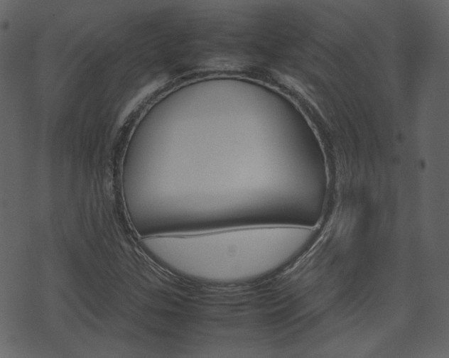 X0000074291307200608250917