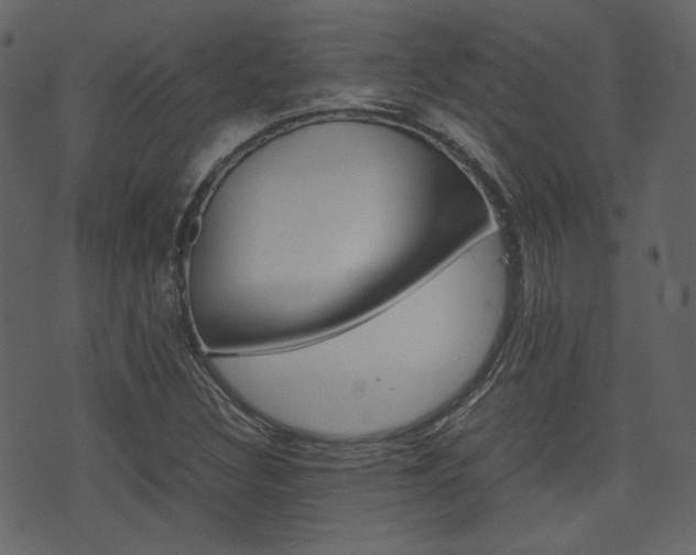 X0000074291308200608250917