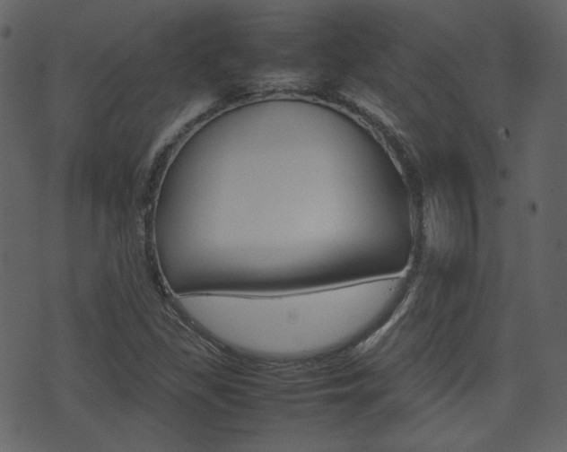 X0000074291309200608250917