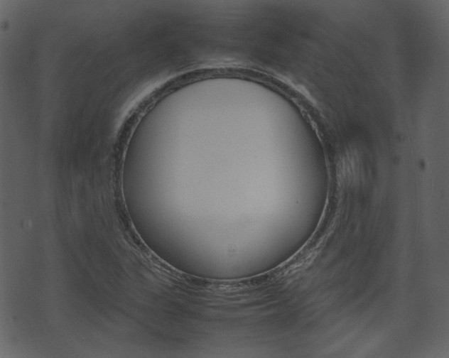 X0000074291311200608250917