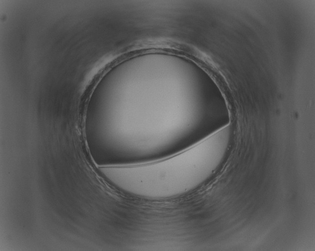 X0000074291312200608250917