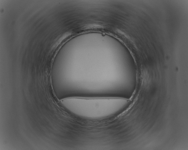 X0000074291313200608250917