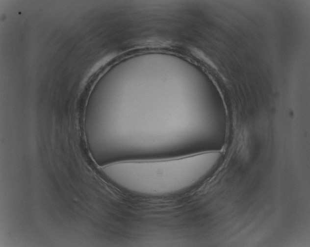 X0000074291315200608250917