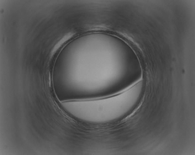 X0000074291317200608250917