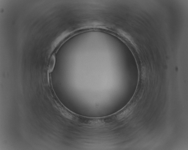 X0000074291320200608250917
