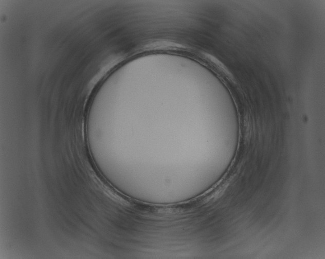 X0000074291322200608250917
