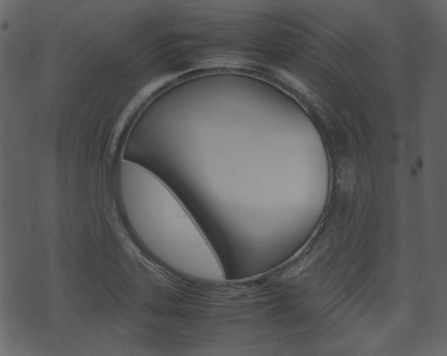 X0000074291323200608250917