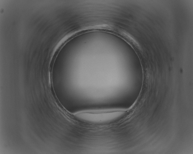 X0000074291324200608250917