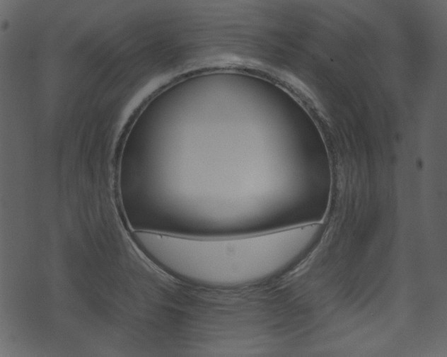 X0000074291326200608250917