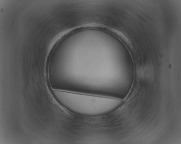 X0000074291327200608250917
