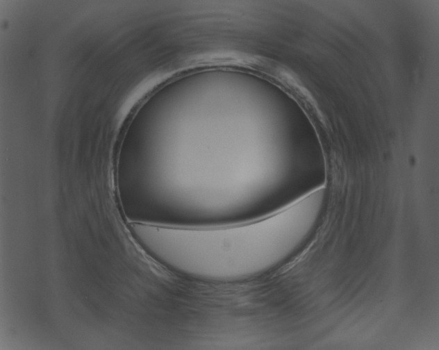 X0000074291328200608250917