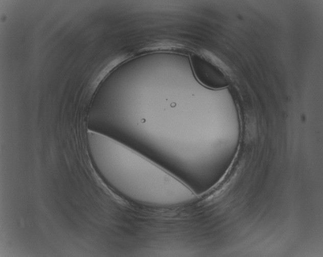 X0000074291329200608250917