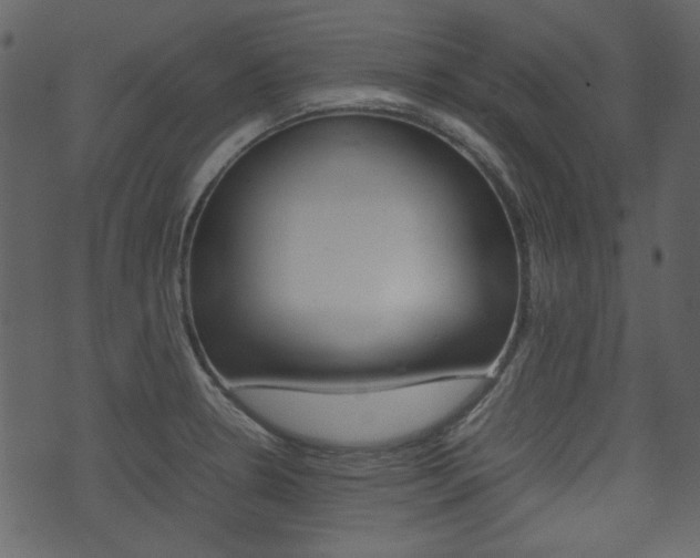 X0000074291330200608250917