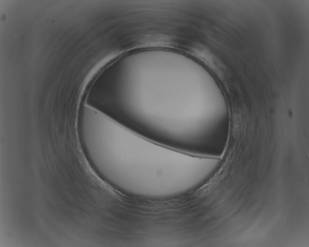 X0000074291331200608250917