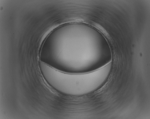 X0000074291332200608250917