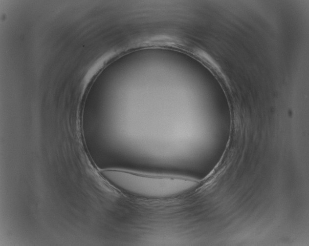 X0000074291336200608250917
