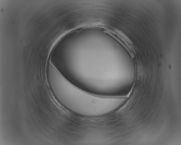 X0000074291340200608250918